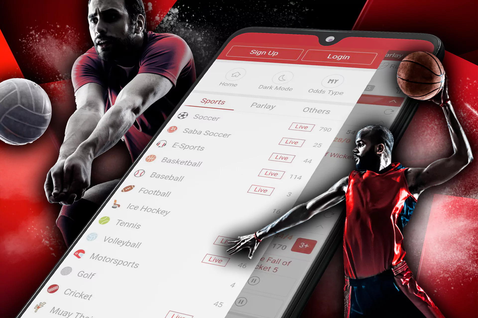 You can find your favorite sports in the Dafabet sportsbook.