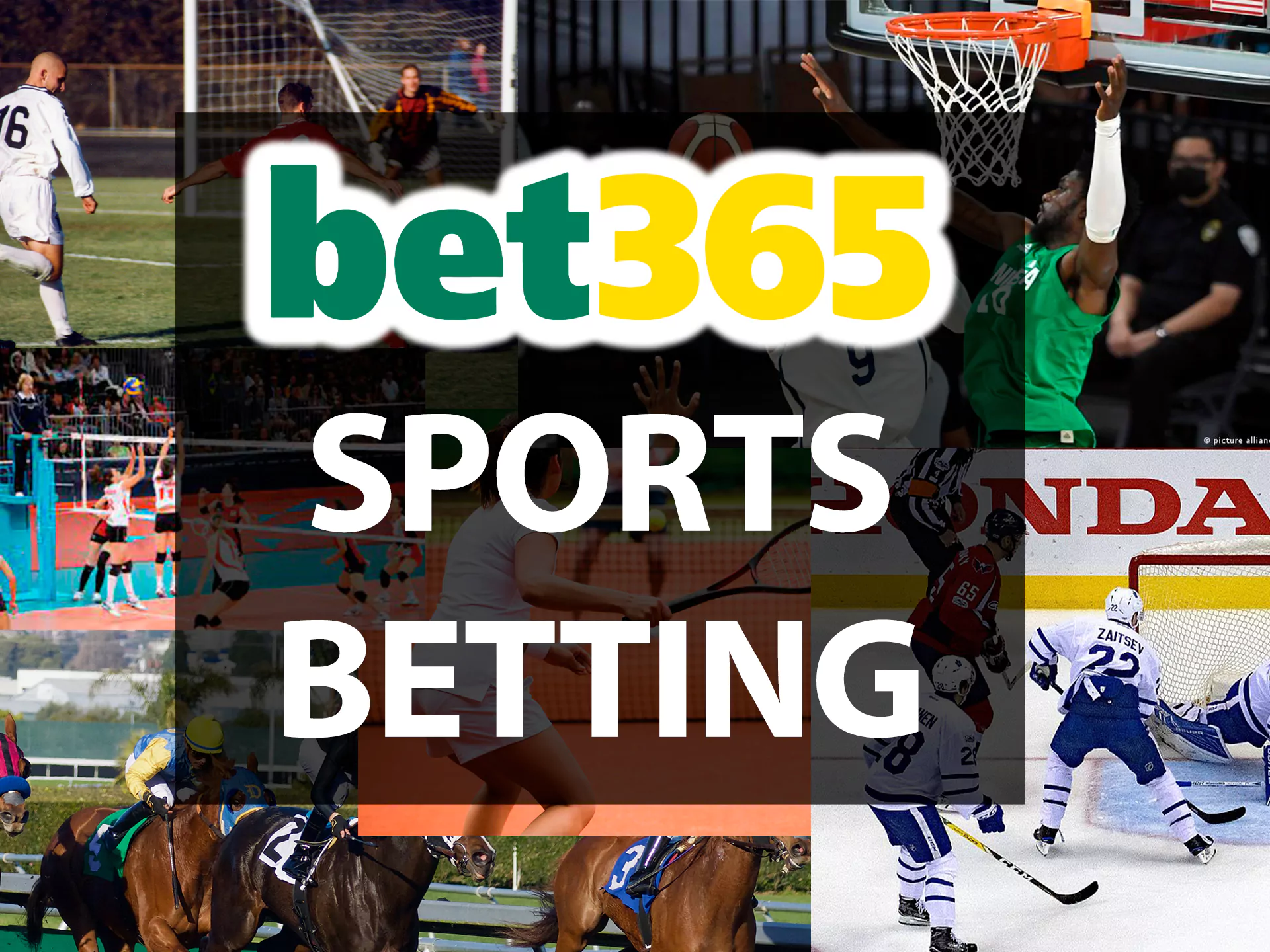 You can also bet on soccer, vollayball, tennis and other sports disciplines.