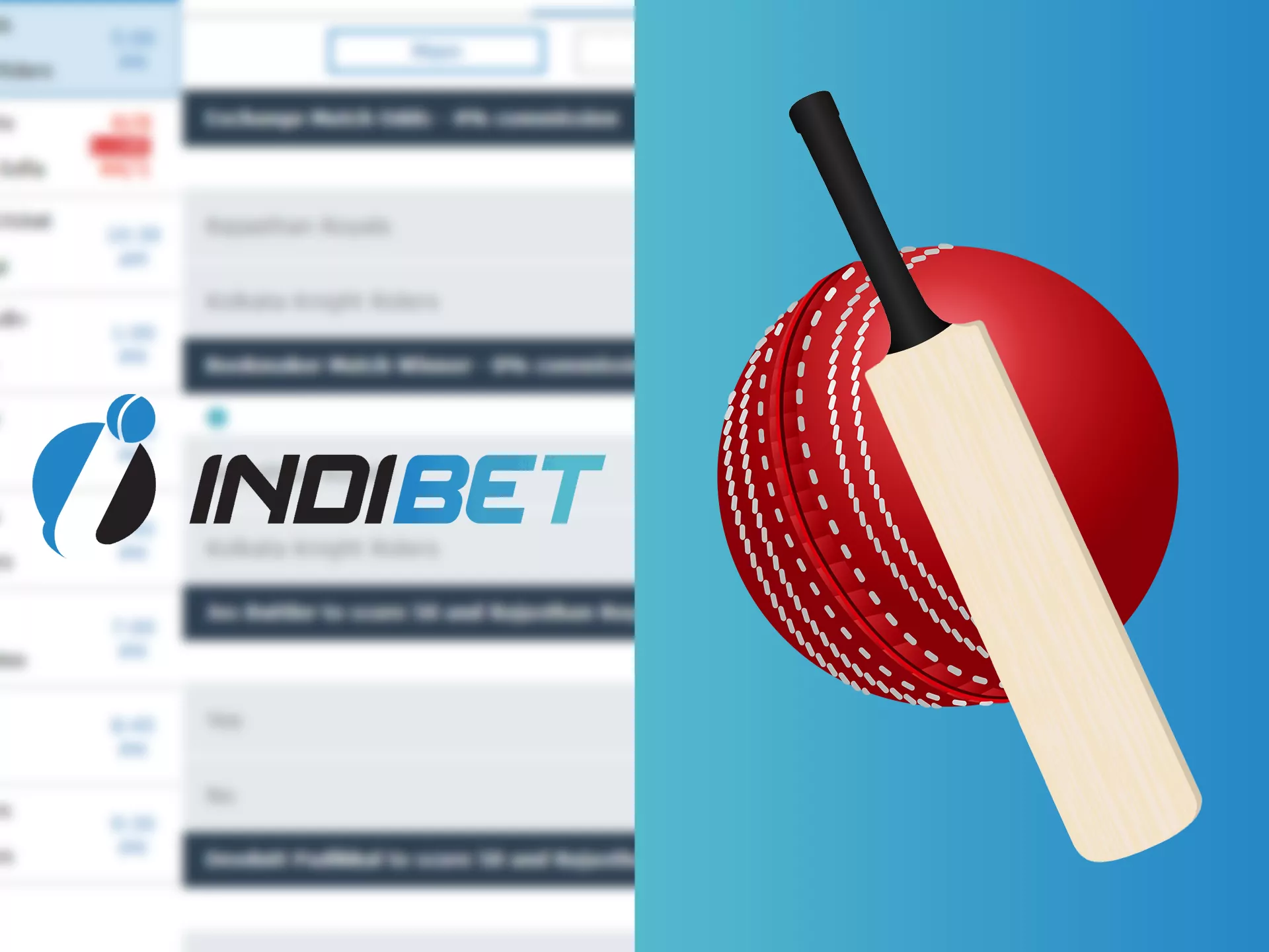 Bet on cricket matches at Indibet.