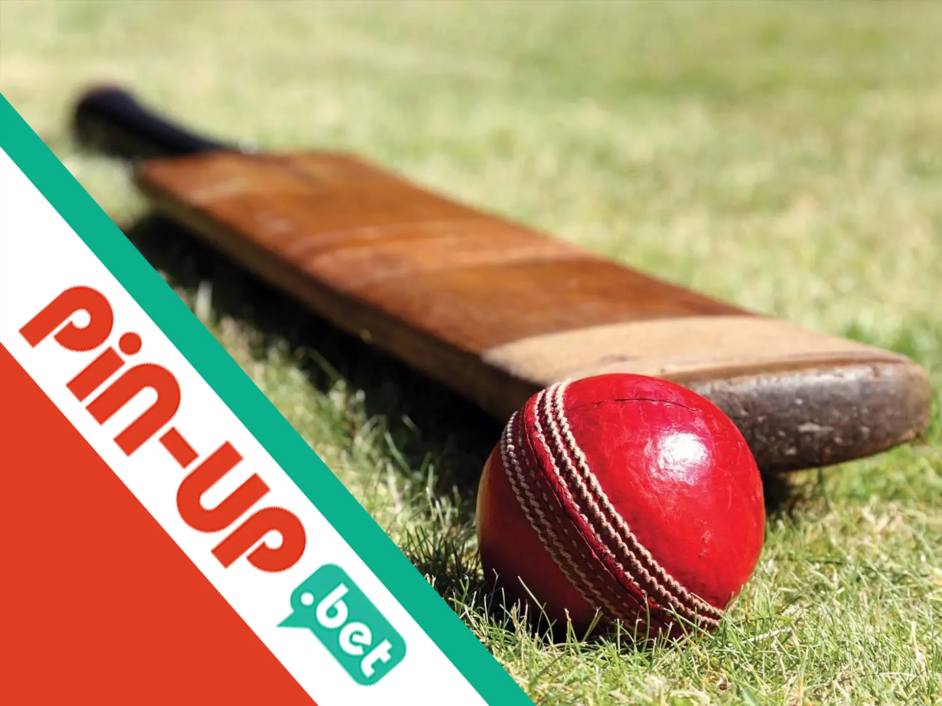 Bet on cricket with Pin Up app.