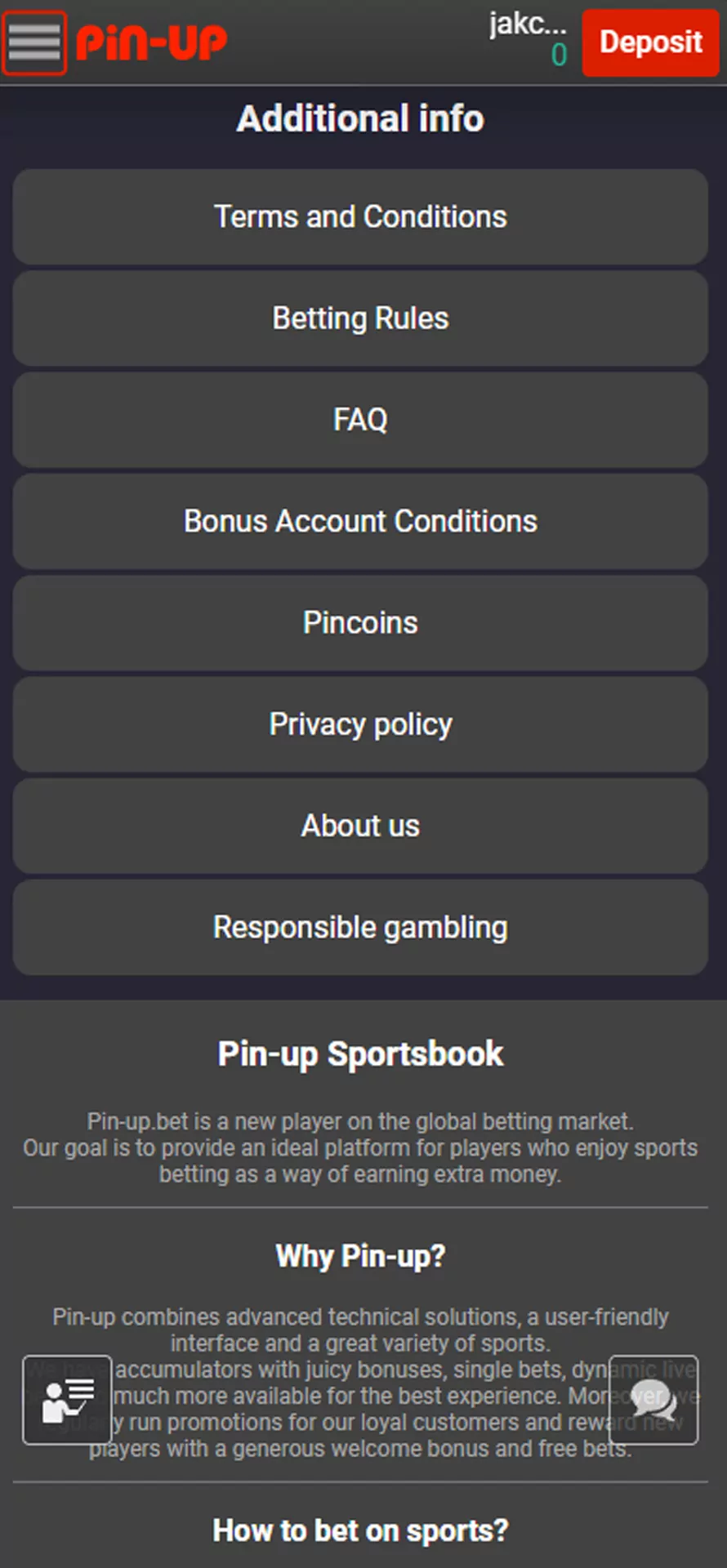 Know more about Pin Up betting.