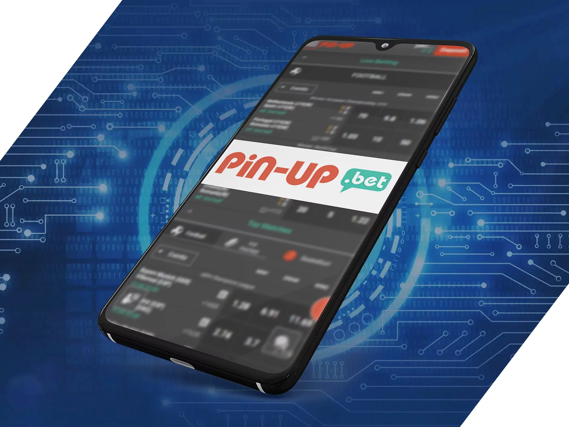Pin Up app secures all of your information.
