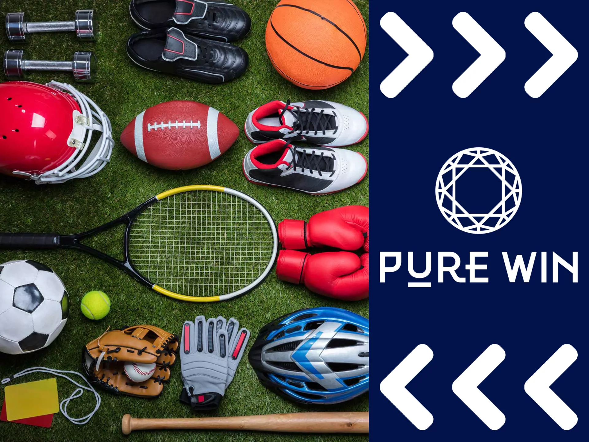 Bet on different sports at Pure Win.