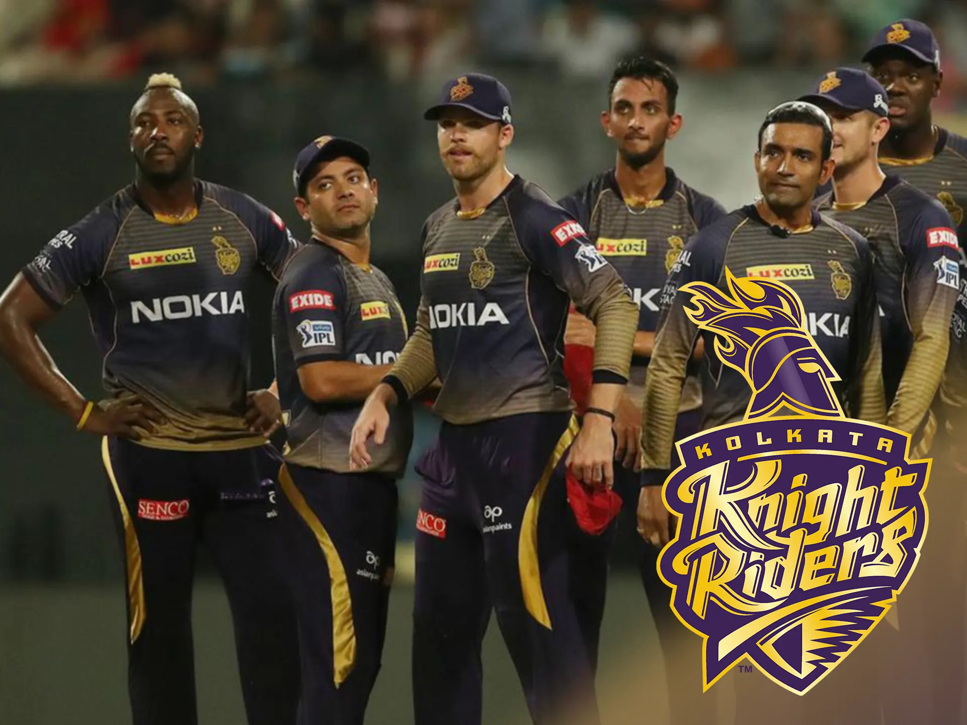 Watch how Kolkata Knight Riders win money for you.