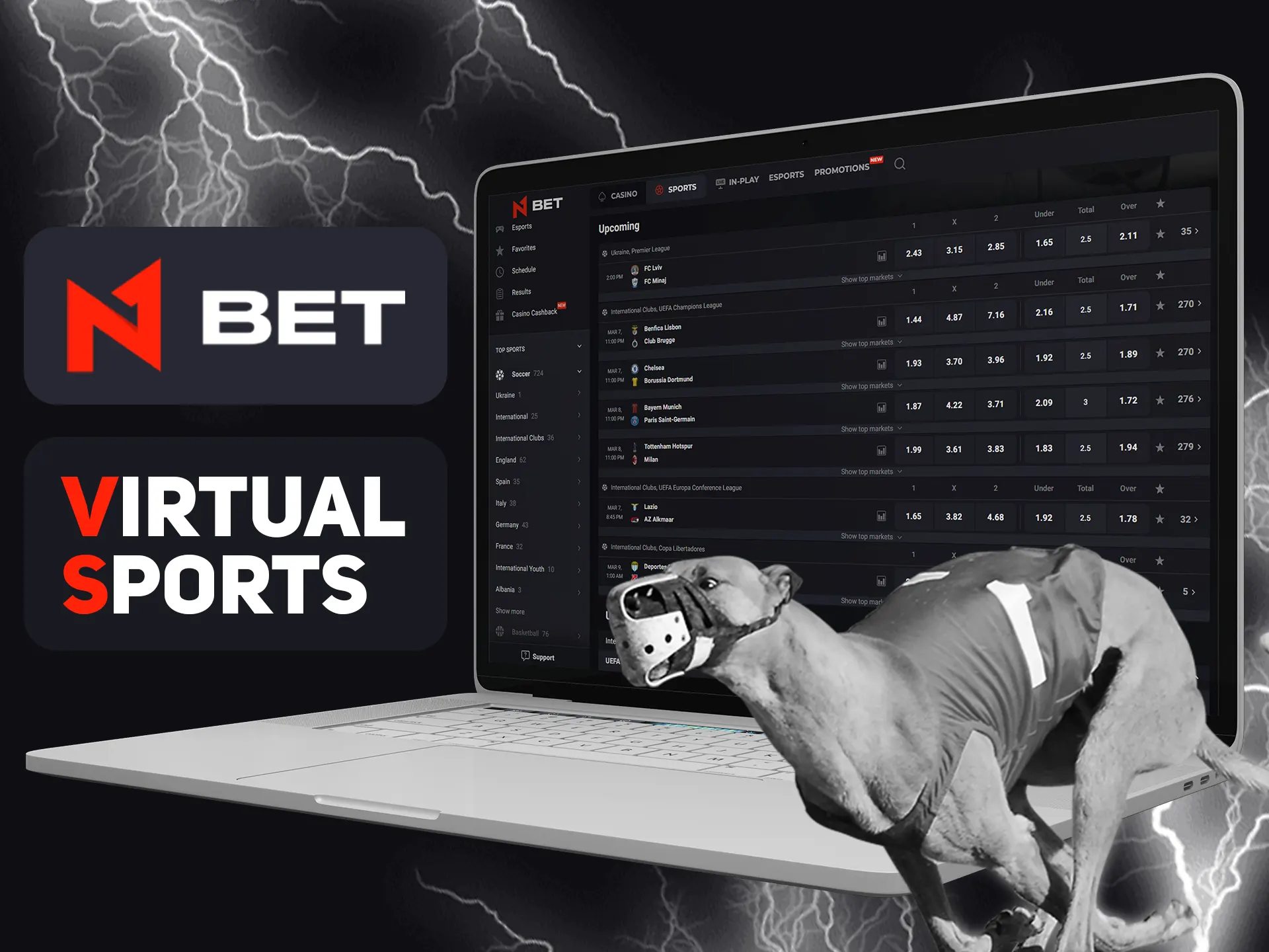 Bet on exotic virtual sports at N1bet.