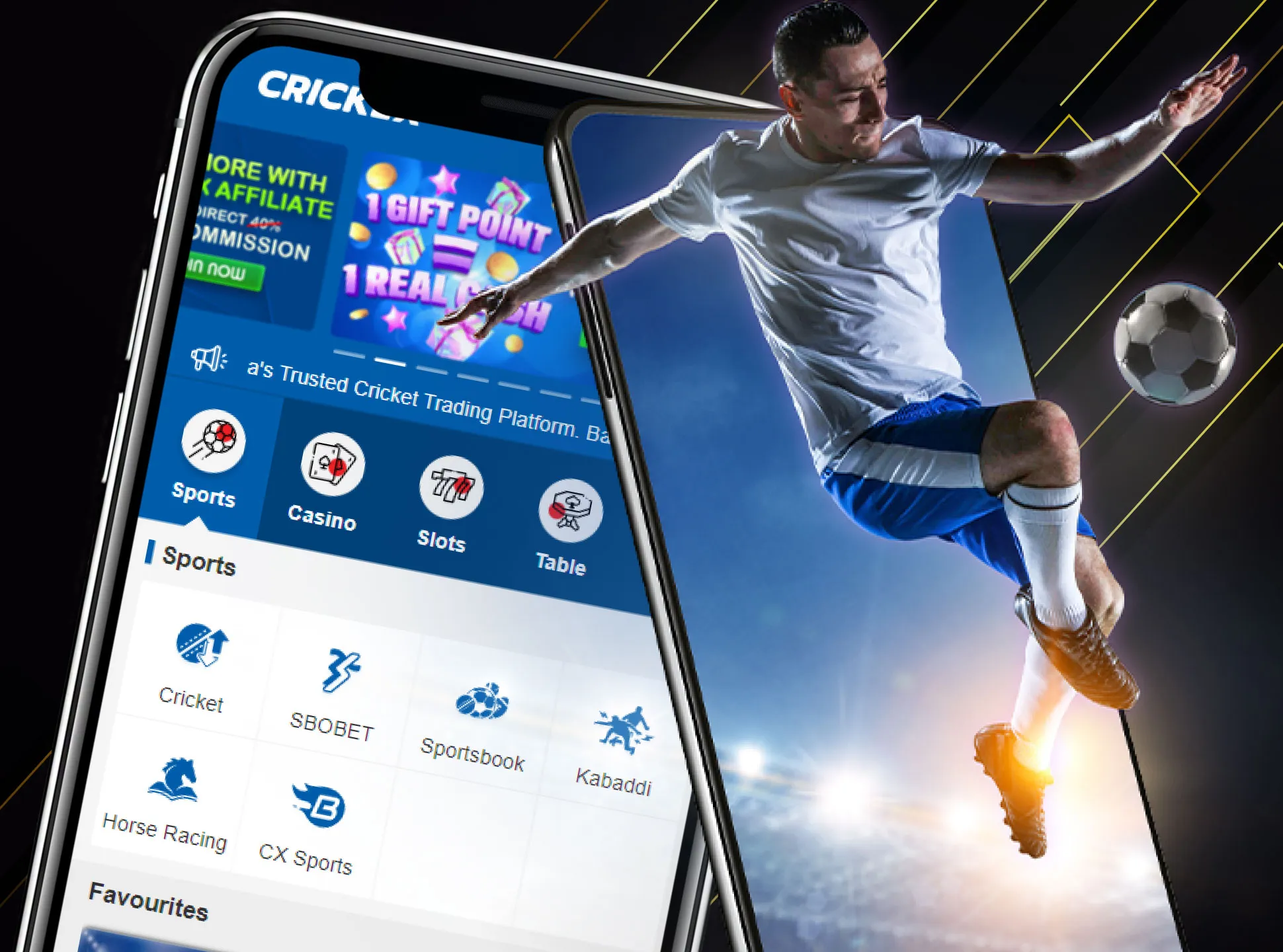 You can place bets on various sports in the Crickex app.