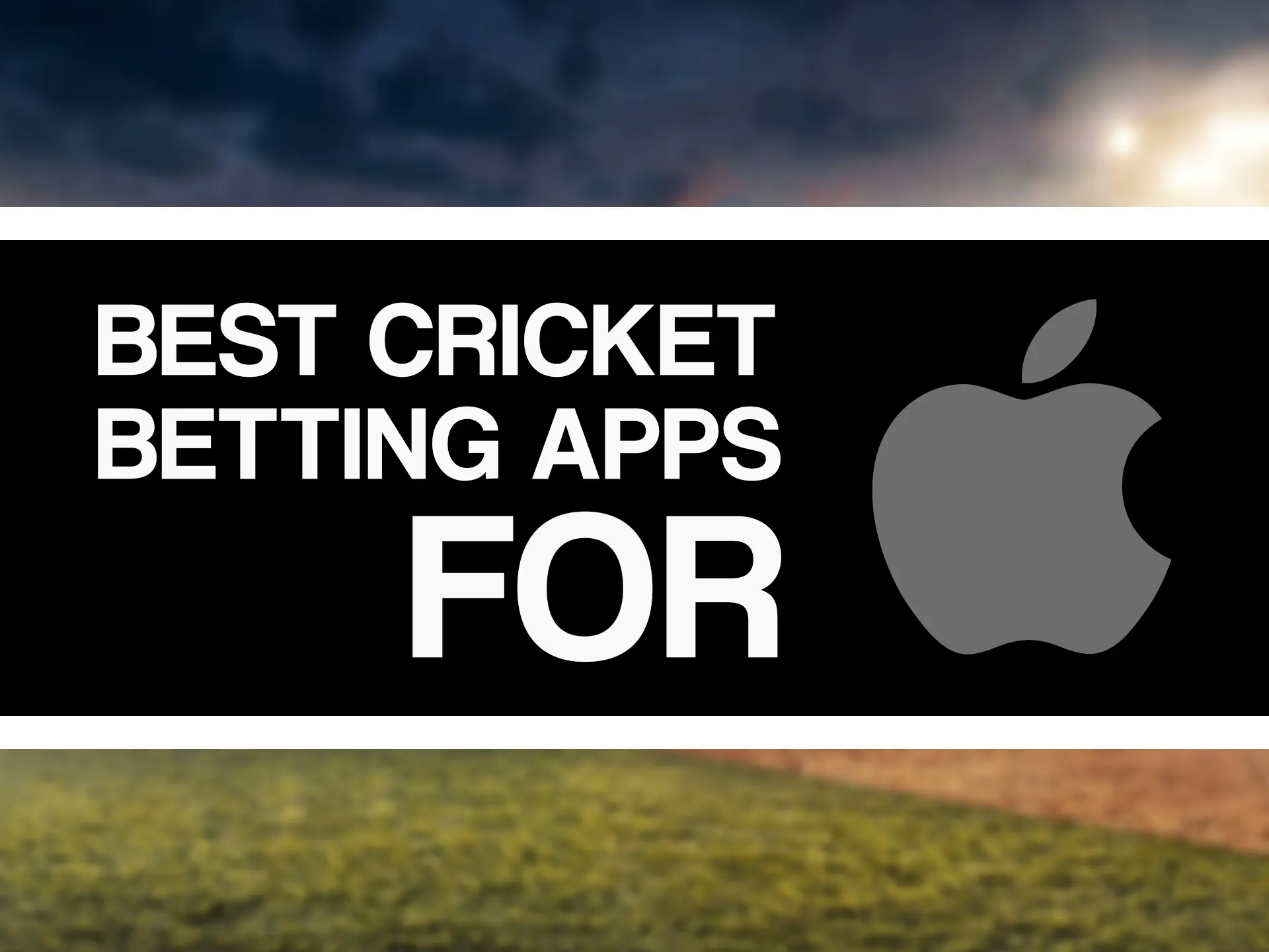 Install circket betting app on your iOS device.