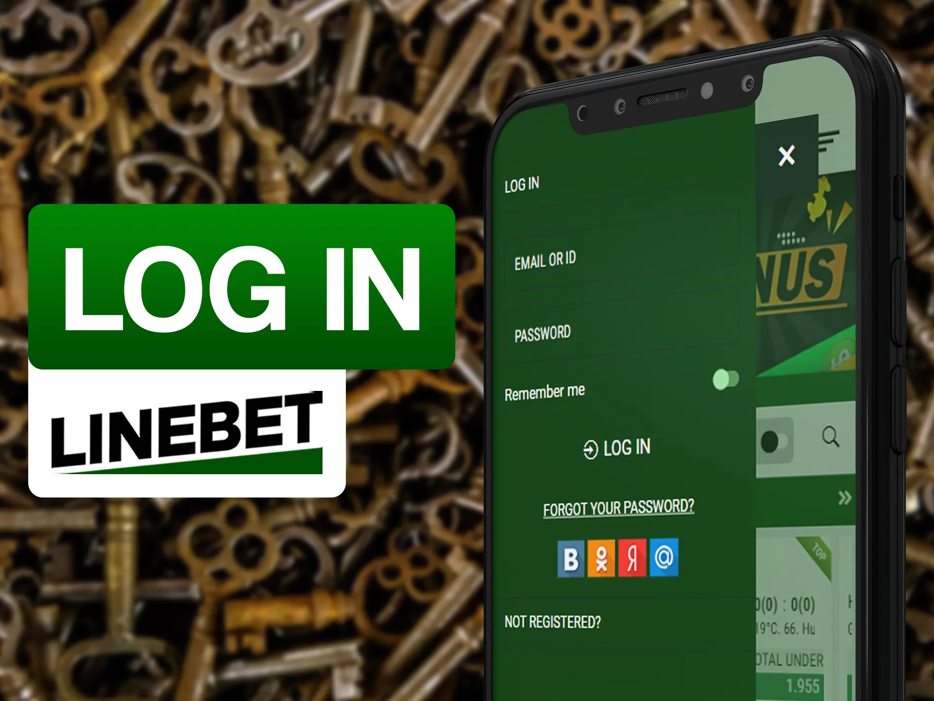 Log in in app using your Linebet account.