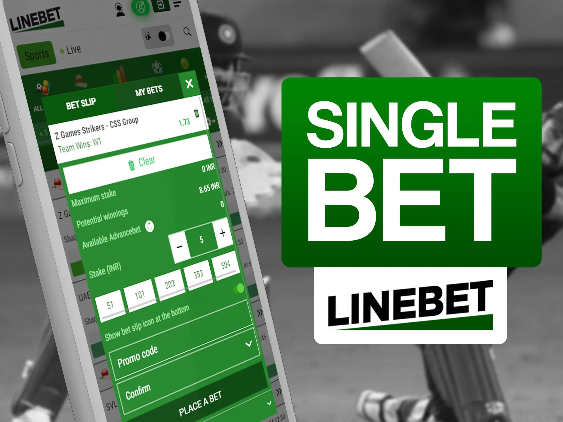 Make bets on your favourite teams with Linebet.